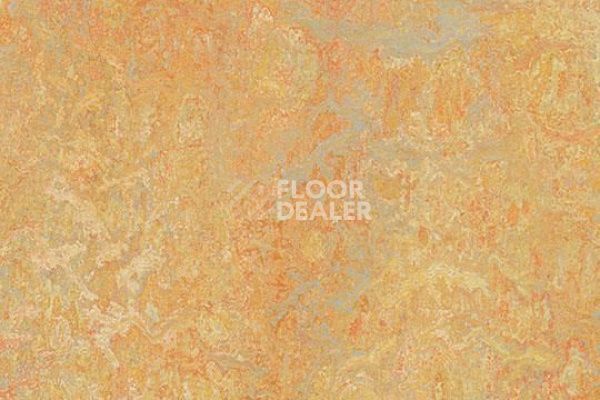 Линолеум Marmoleum Decibel on Order 341135 sunny day фото 1 | FLOORDEALER